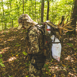Sumpter Frame Pack